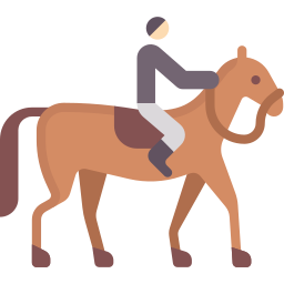 Верховая езда иконка