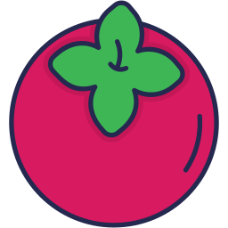 persimmon icon