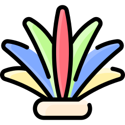 羽毛 icon