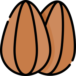 Almond icon