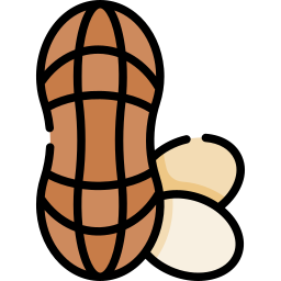 arachidi icona