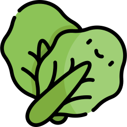 Lettuce icon