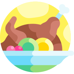 Turkey icon