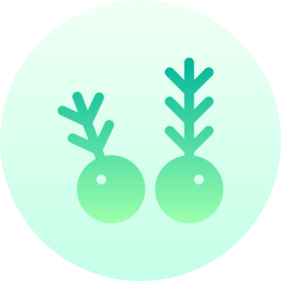 향나무 icon
