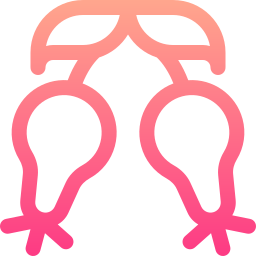 rosa mosqueta icono