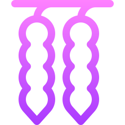 タマリンド icon