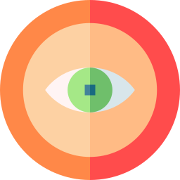 Focus icon