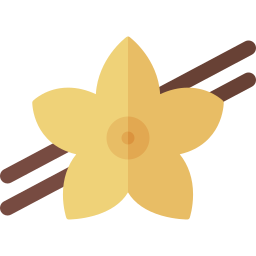 Vanilla icon