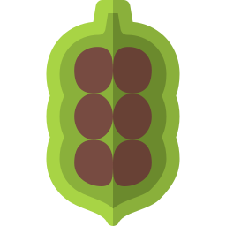 Cardamom icon