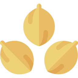 Coriander icon