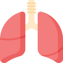 pulmones icono