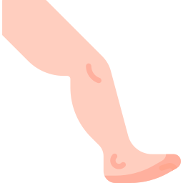 Leg icon