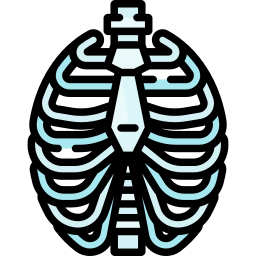 Ribs icon