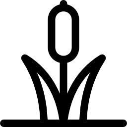 Cattail icon