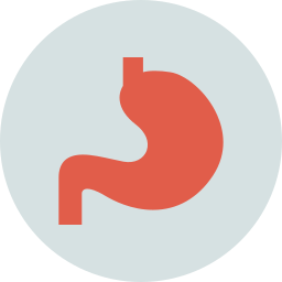 Stomach icon