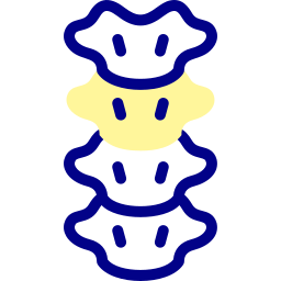 Spine icon