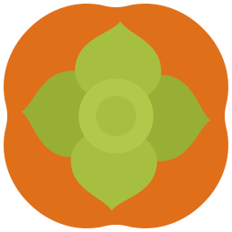 Persimmon icon