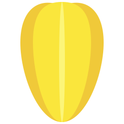 sternfrucht icon