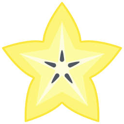 Star fruit icon