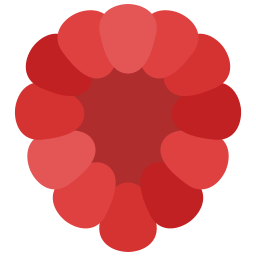 Raspberry icon