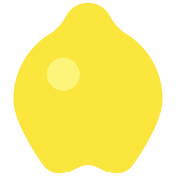 모과 icon