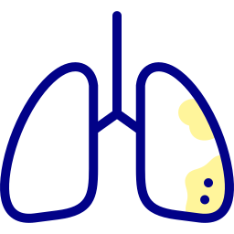 Lungs icon