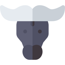 Buffalo icon