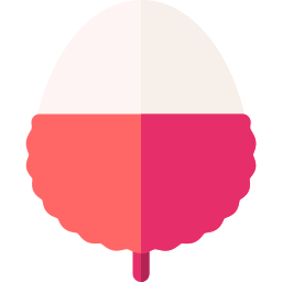 Lychee icon