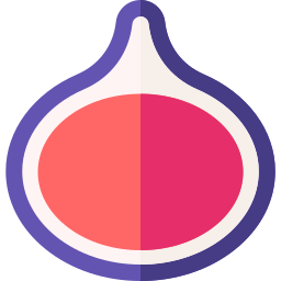 Fig icon