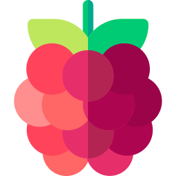 Raspberry icon