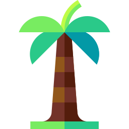 Palm icon