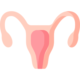 Reproductive system icon