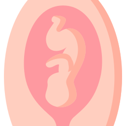 płód ikona