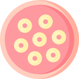 桑実胚 icon