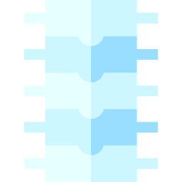 columna vertebral icono