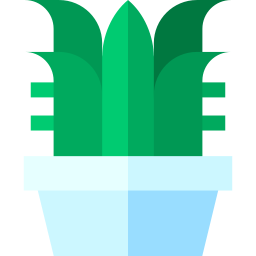 Aloe vera icon