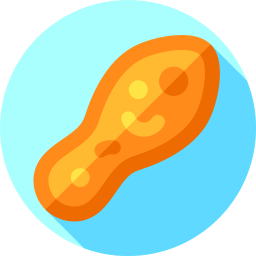 Paramecium icon