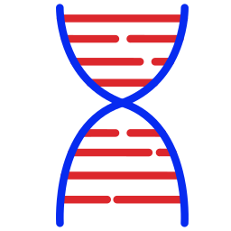 adn Icône