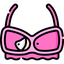 Bra icon