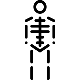 esqueleto da classe de anatomia Ícone