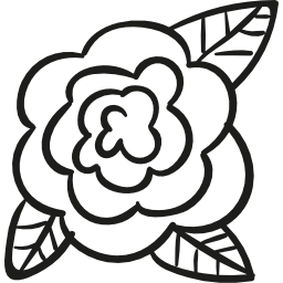 róża ogrodowa ikona