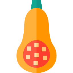 zucca butternut icona