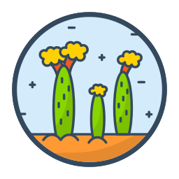 cactus icono