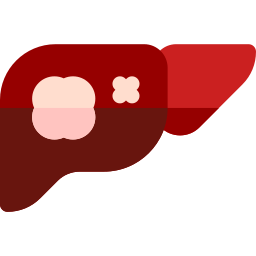 Liver icon