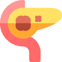 páncreas icono