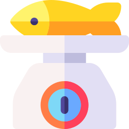 Weight icon