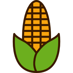 Corn icon