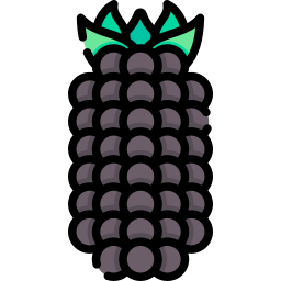 maulbeere icon