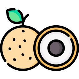 longan icon