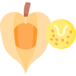 physalis icon